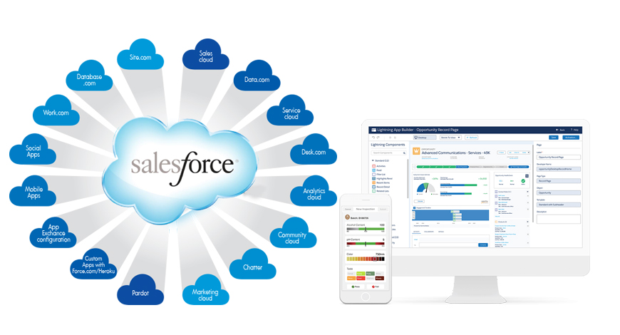 Salesforce CRM cost